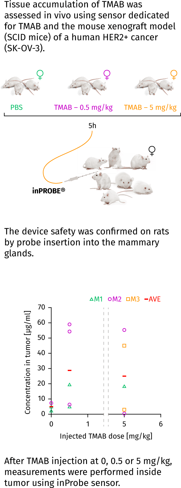 text