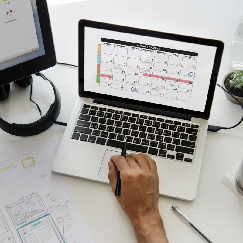 SDS Optic calendar for periodic reports in 2025