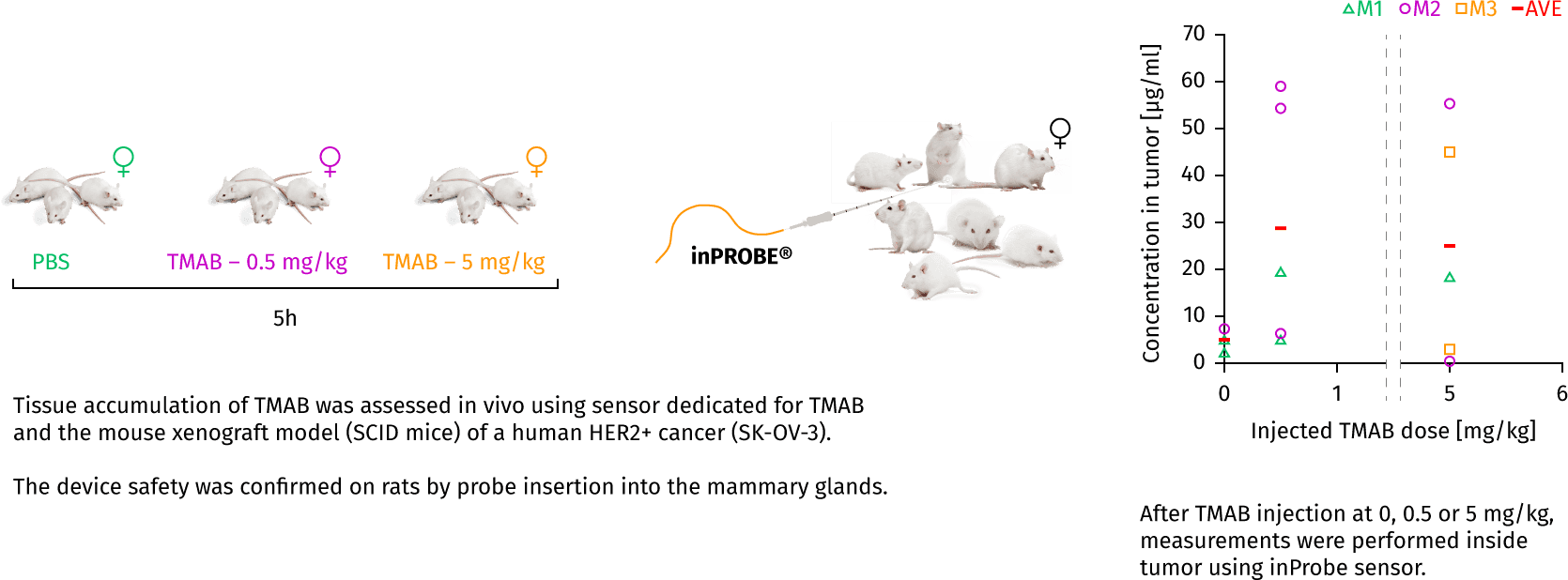 text