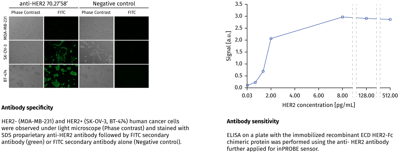 text